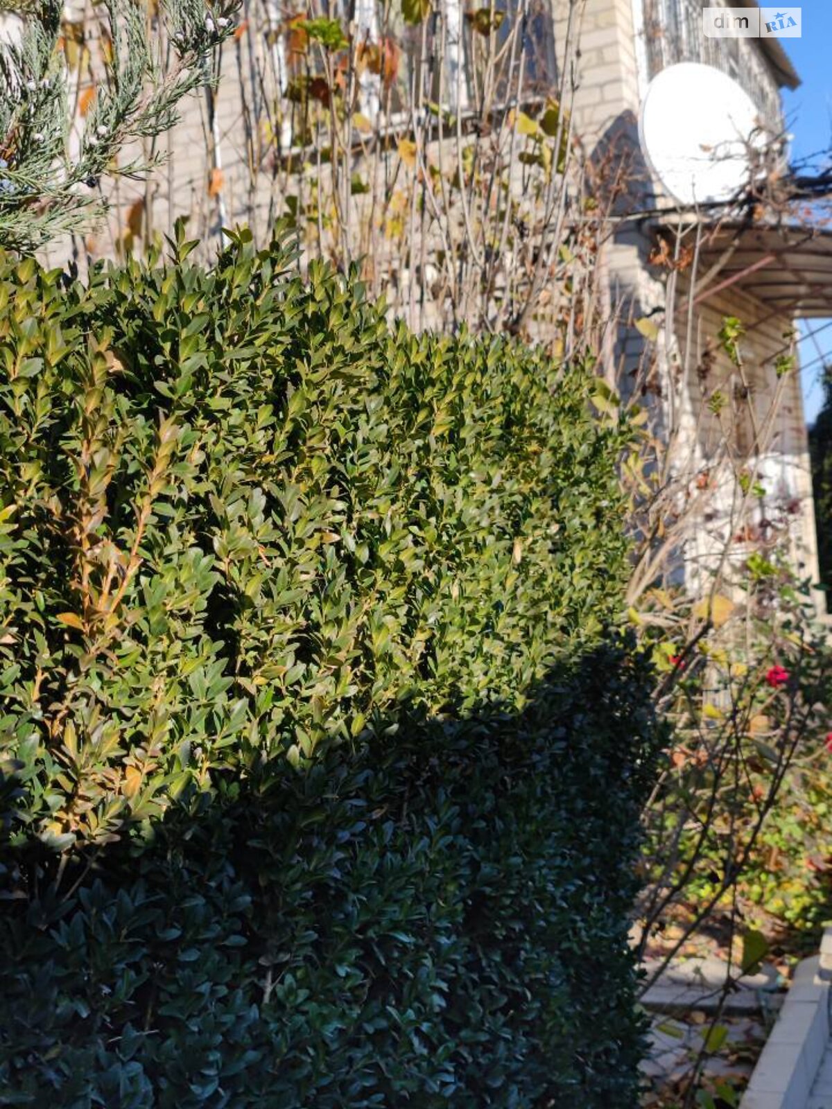 двухэтажный дом с верандой, 80 кв. м, кирпич силикатный. Продажа в Богнатово фото 1