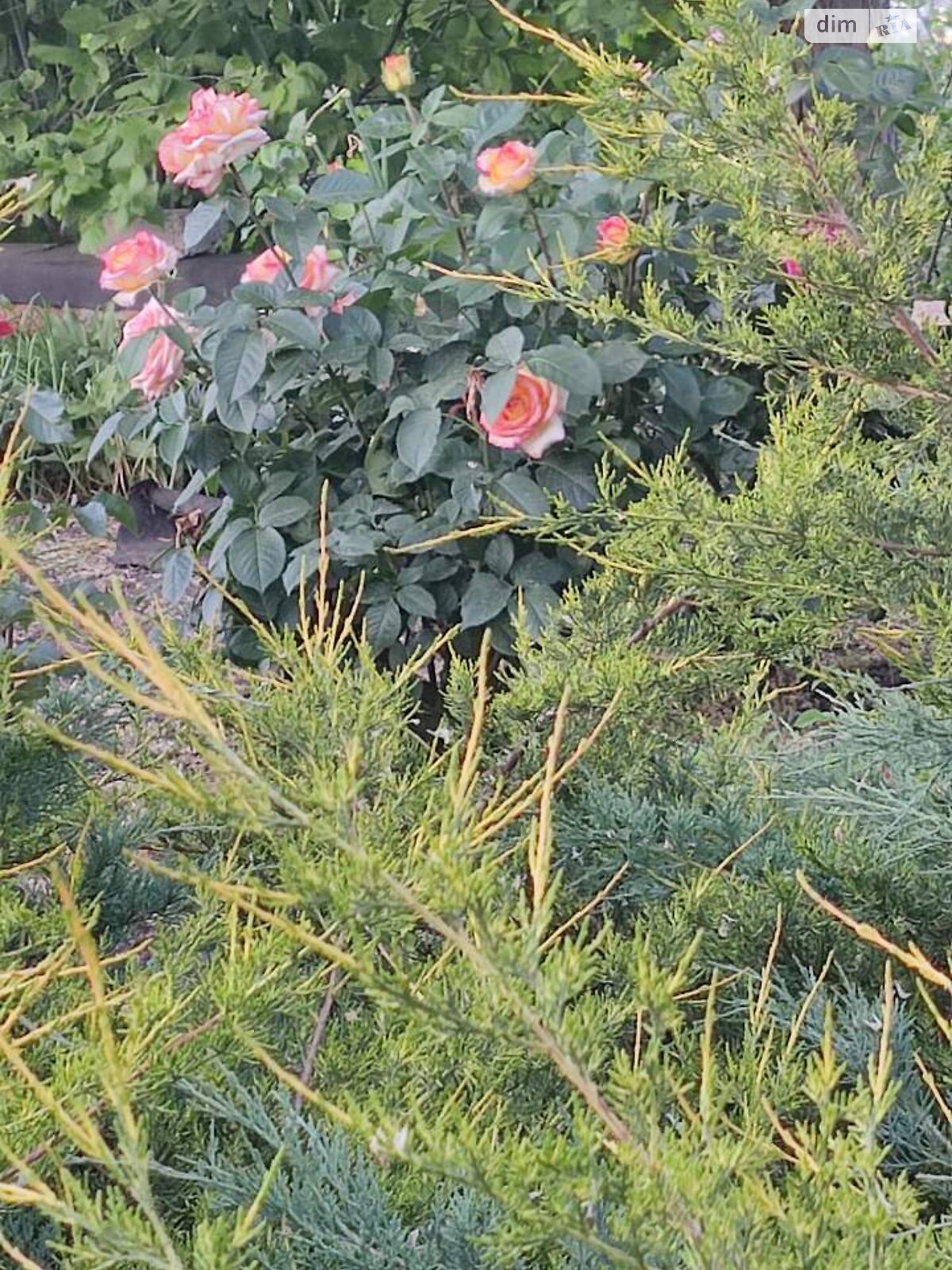 двухэтажный дом с верандой, 80 кв. м, кирпич силикатный. Продажа в Богнатово фото 1