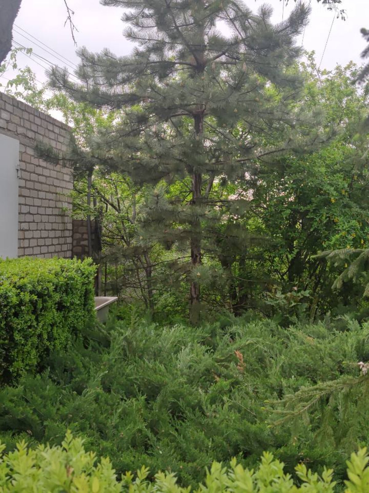 двухэтажный дом с верандой, 80 кв. м, кирпич силикатный. Продажа в Богнатово фото 1