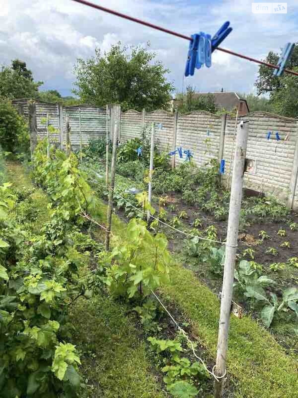 одноповерховий будинок, 63 кв. м, кирпич. Продаж в Богодухові, район Богодухів фото 1 одноповерховий будинок, 63 кв. м, кирпич. Продаж в Богодухові, район Богодухів фото 1