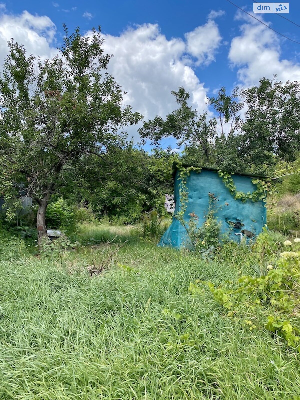 одноповерховий будинок, 54.9 кв. м, кирпич. Продаж в Богодухові, район Богодухів фото 1 одноповерховий будинок, 54.9 кв. м, кирпич. Продаж в Богодухові, район Богодухів фото 1