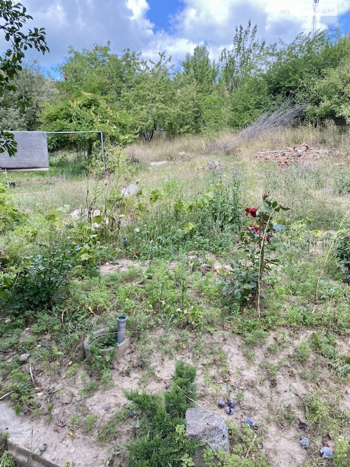 одноповерховий будинок, 54.9 кв. м, кирпич. Продаж в Богодухові, район Богодухів фото 1 одноповерховий будинок, 54.9 кв. м, кирпич. Продаж в Богодухові, район Богодухів фото 1