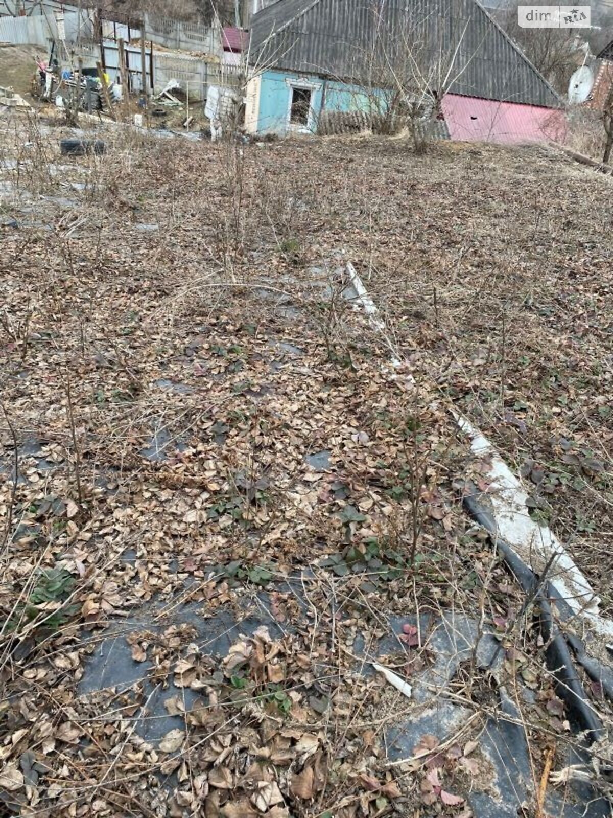 одноповерховий будинок бесідка, 74 кв. м, цегла. Продаж у Богодухові фото 1