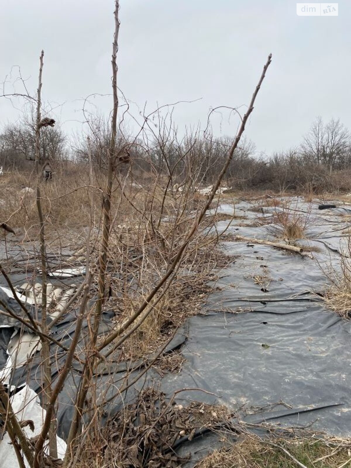 одноповерховий будинок бесідка, 74 кв. м, цегла. Продаж у Богодухові фото 1