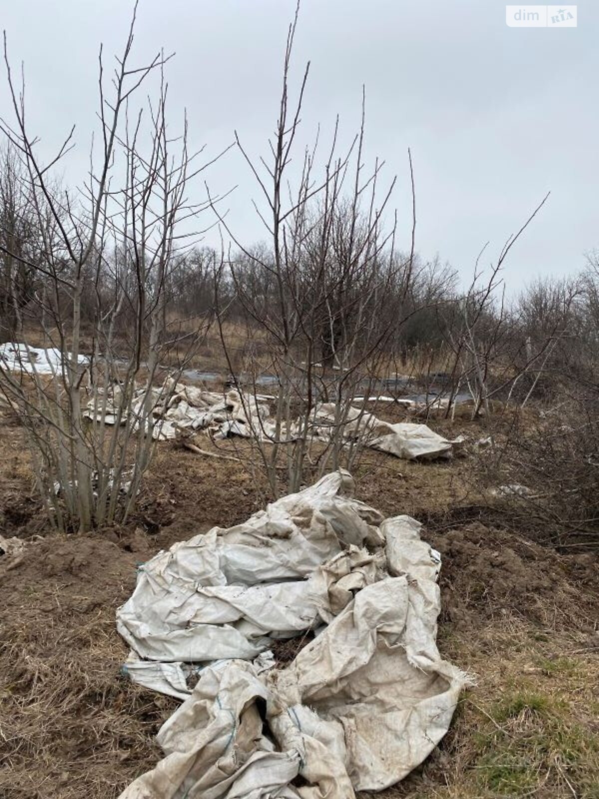 одноповерховий будинок бесідка, 74 кв. м, цегла. Продаж у Богодухові фото 1