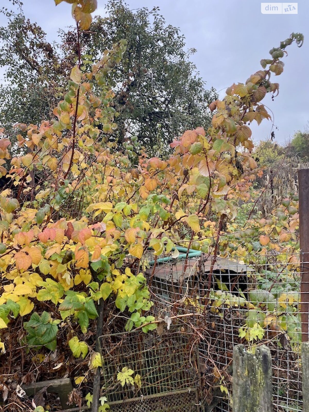 одноповерховий будинок, 48.9 кв. м, дерево та цегла. Продаж у Богодухові фото 1