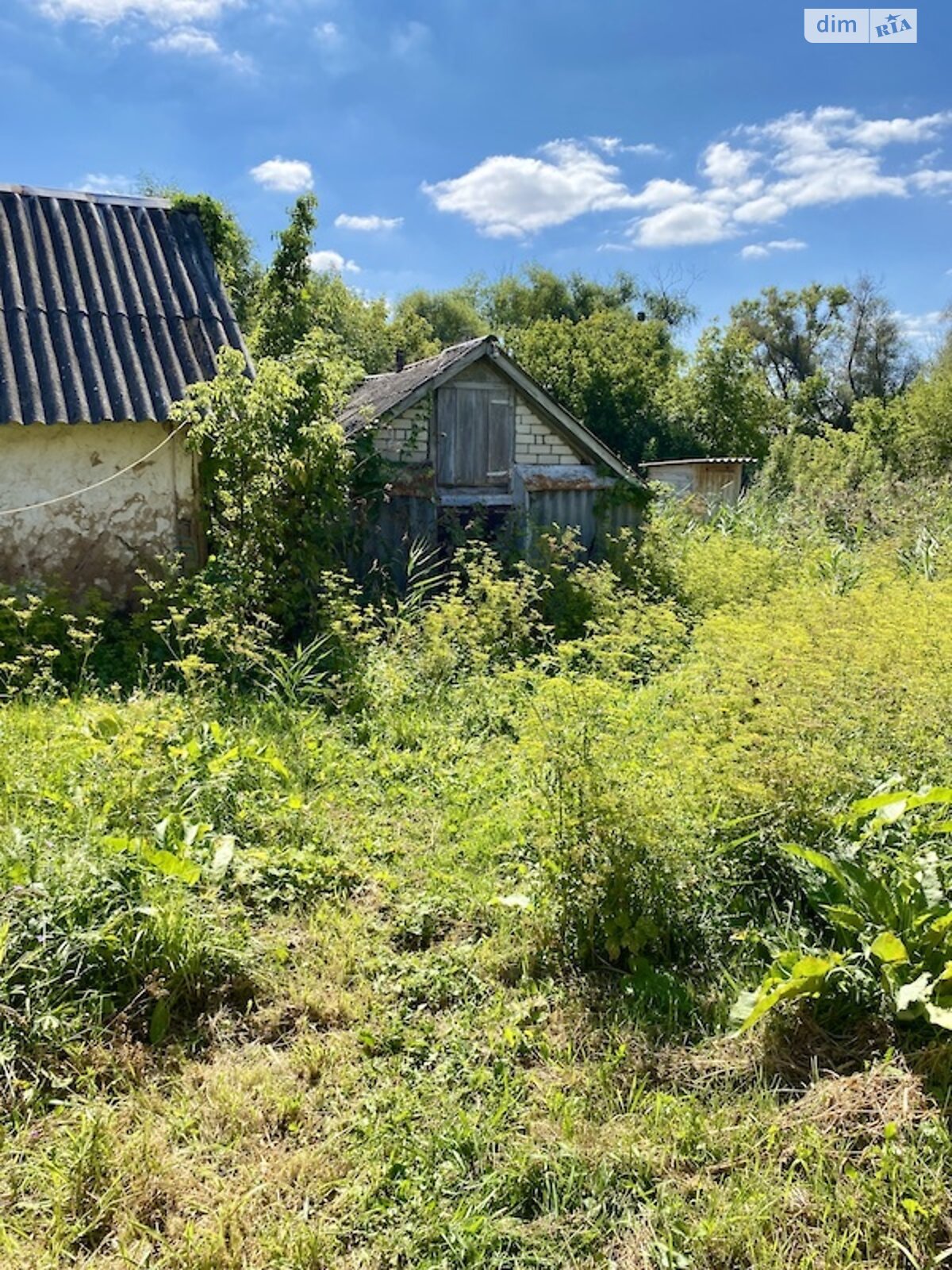 одноповерховий будинок, 85.5 кв. м, цегла. Продаж у Богодухові фото 1 одноповерховий будинок, 85.5 кв. м, цегла. Продаж у Богодухові фото 1