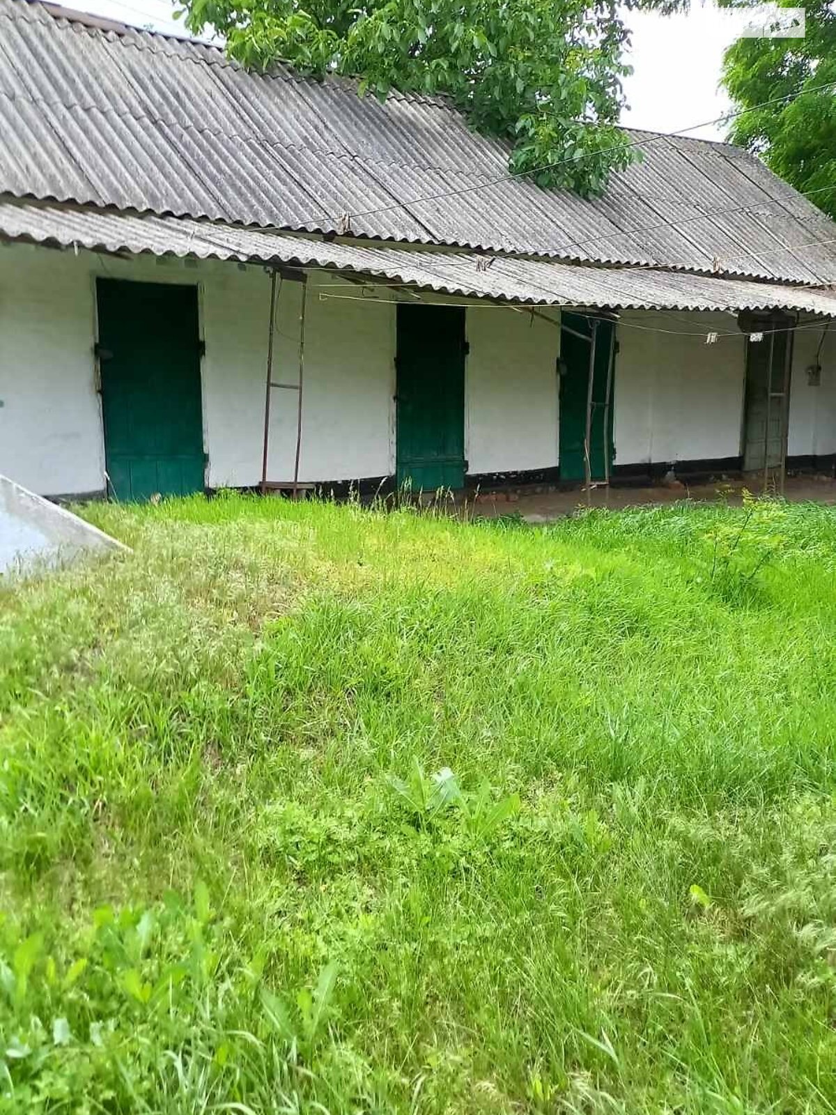 одноповерховий будинок з опаленням, 68.9 кв. м, цегла. Продаж у Богодуховці фото 1 одноповерховий будинок з опаленням, 68.9 кв. м, цегла. Продаж у Богодуховці фото 1