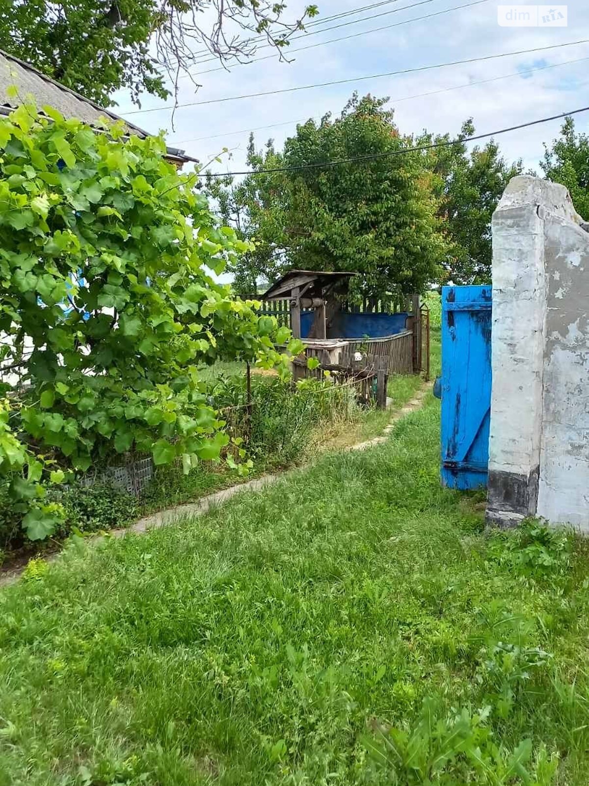 одноповерховий будинок з опаленням, 68.9 кв. м, цегла. Продаж у Богодуховці фото 1 одноповерховий будинок з опаленням, 68.9 кв. м, цегла. Продаж у Богодуховці фото 1