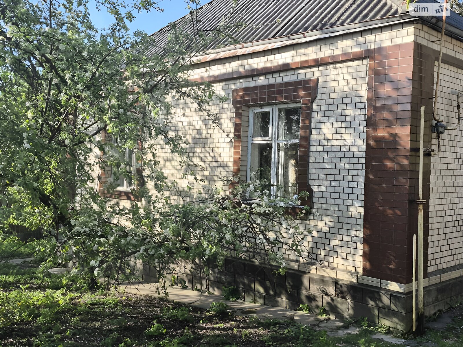 одноэтажный дом, 93.4 кв. м, кирпич. Продажа в Богуславе район Богуслав фото 1 одноэтажный дом, 93.4 кв. м, кирпич. Продажа в Богуславе район Богуслав фото 1