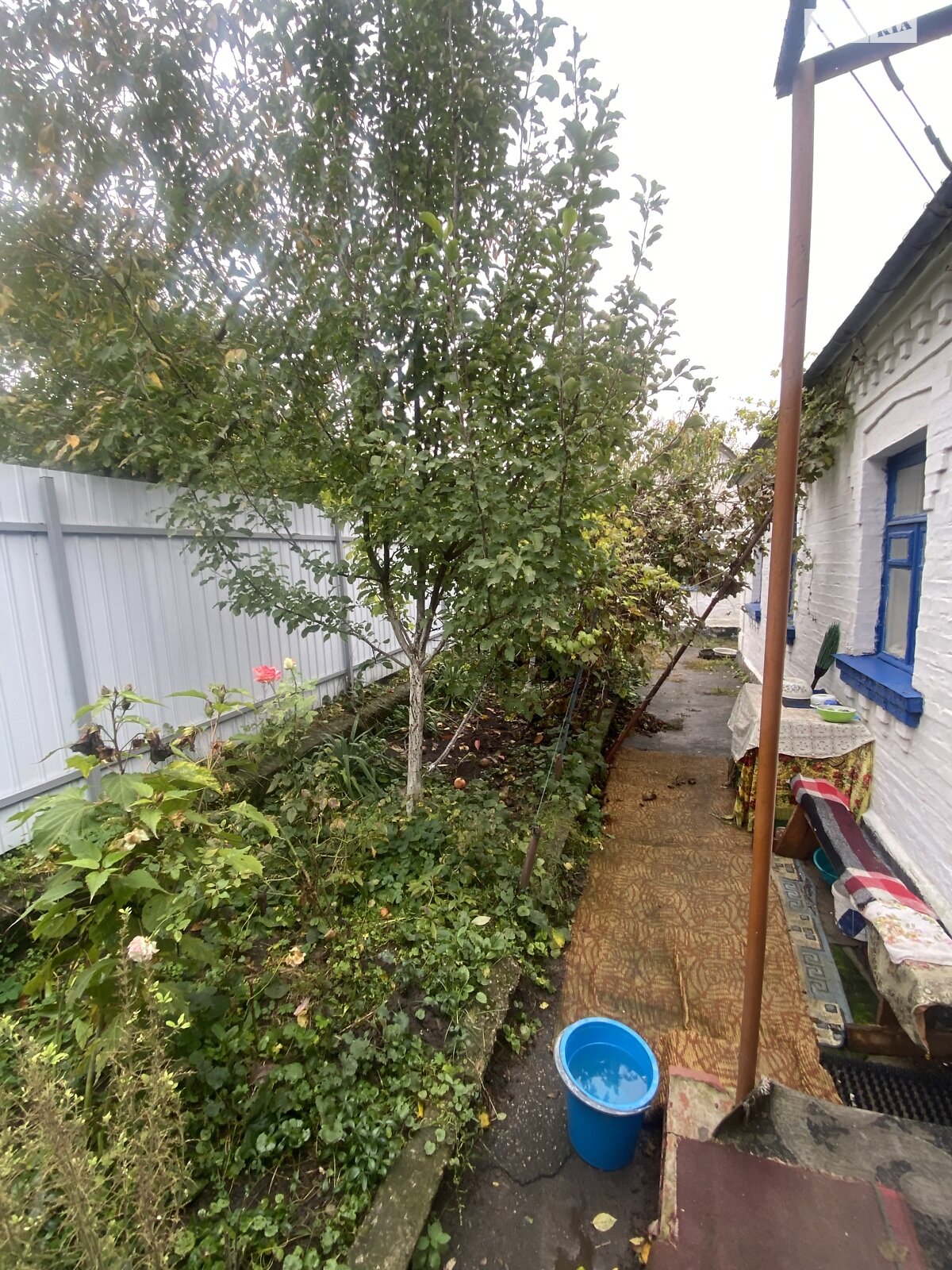 одноэтажный дом с гаражом, 53.1 кв. м, кирпич саманный. Продажа в Богуславе район Богуслав фото 1 одноэтажный дом с гаражом, 53.1 кв. м, кирпич саманный. Продажа в Богуславе район Богуслав фото 1