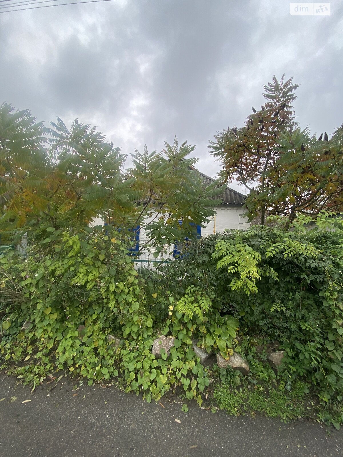 одноэтажный дом с гаражом, 53.1 кв. м, кирпич саманный. Продажа в Богуславе район Богуслав фото 1 одноэтажный дом с гаражом, 53.1 кв. м, кирпич саманный. Продажа в Богуславе район Богуслав фото 1