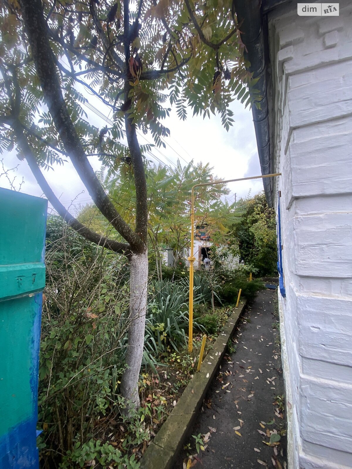 одноэтажный дом с гаражом, 53.1 кв. м, кирпич саманный. Продажа в Богуславе район Богуслав фото 1 одноэтажный дом с гаражом, 53.1 кв. м, кирпич саманный. Продажа в Богуславе район Богуслав фото 1