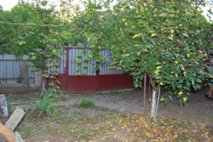 двоповерховий будинок з верандою, 60 кв. м, ракушняк. Продаж у Богуславі фото 2