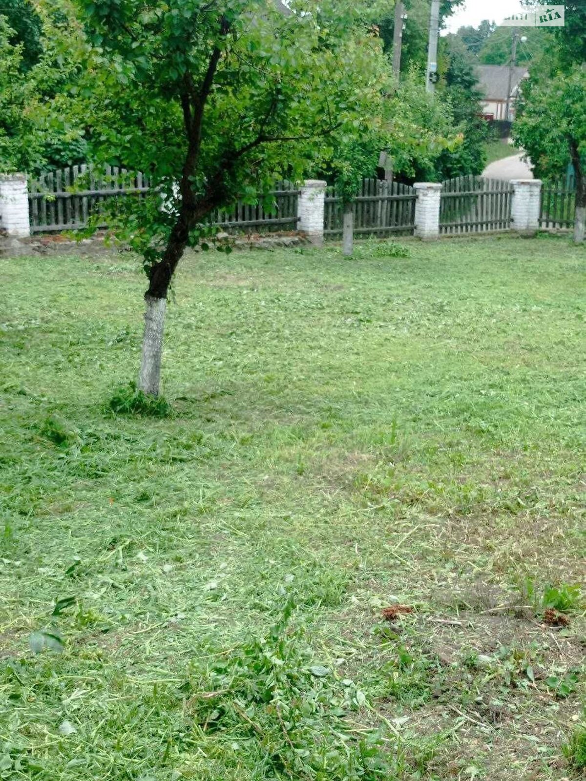 одноэтажный дом с гаражом, 90 кв. м, кирпич. Продажа в Богуславе фото 1 одноэтажный дом с гаражом, 90 кв. м, кирпич. Продажа в Богуславе фото 1