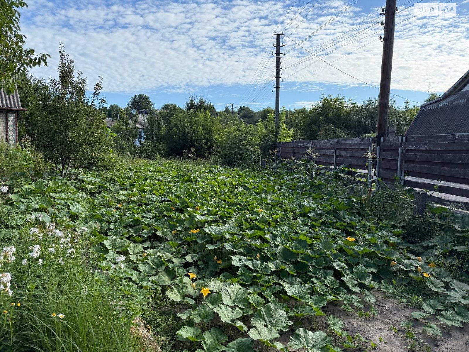 одноэтажный дом с гаражом, 84.8 кв. м, кирпич. Продажа в Богуславе фото 1 одноэтажный дом с гаражом, 84.8 кв. м, кирпич. Продажа в Богуславе фото 1