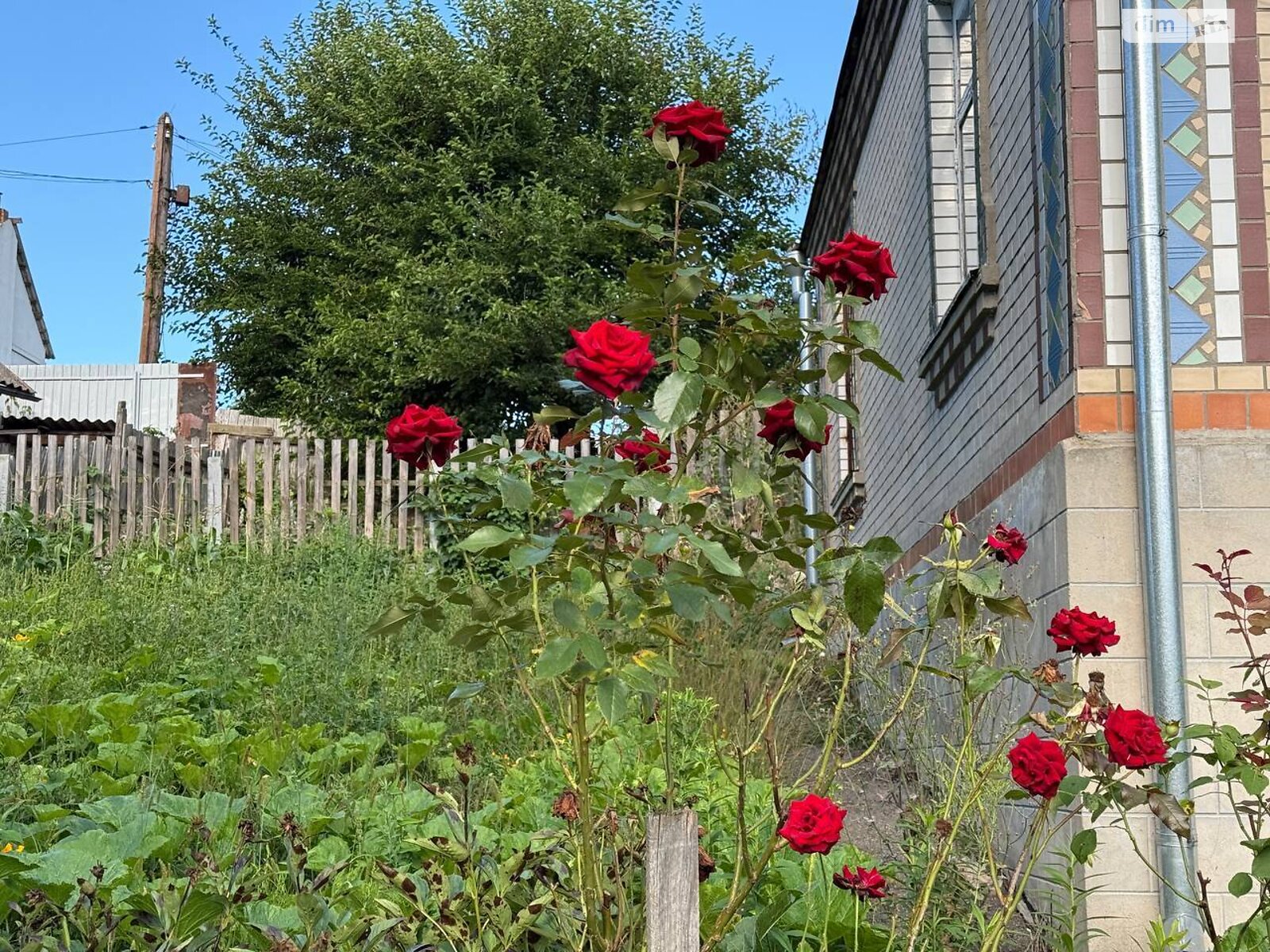 одноэтажный дом с гаражом, 84.8 кв. м, кирпич. Продажа в Богуславе фото 1 одноэтажный дом с гаражом, 84.8 кв. м, кирпич. Продажа в Богуславе фото 1