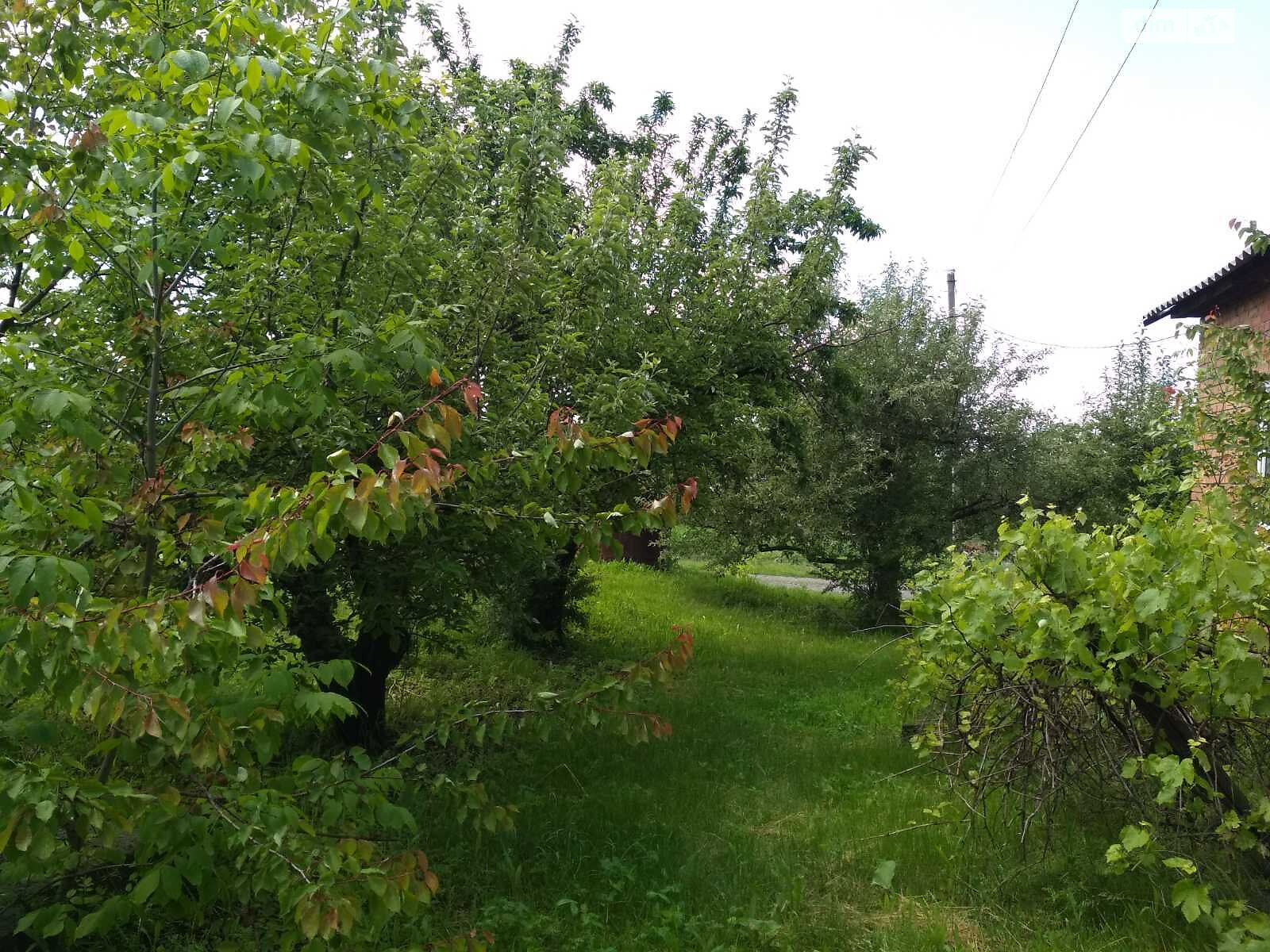 одноэтажный дом, 104 кв. м, шлакоблок. Продажа в Божковском фото 1