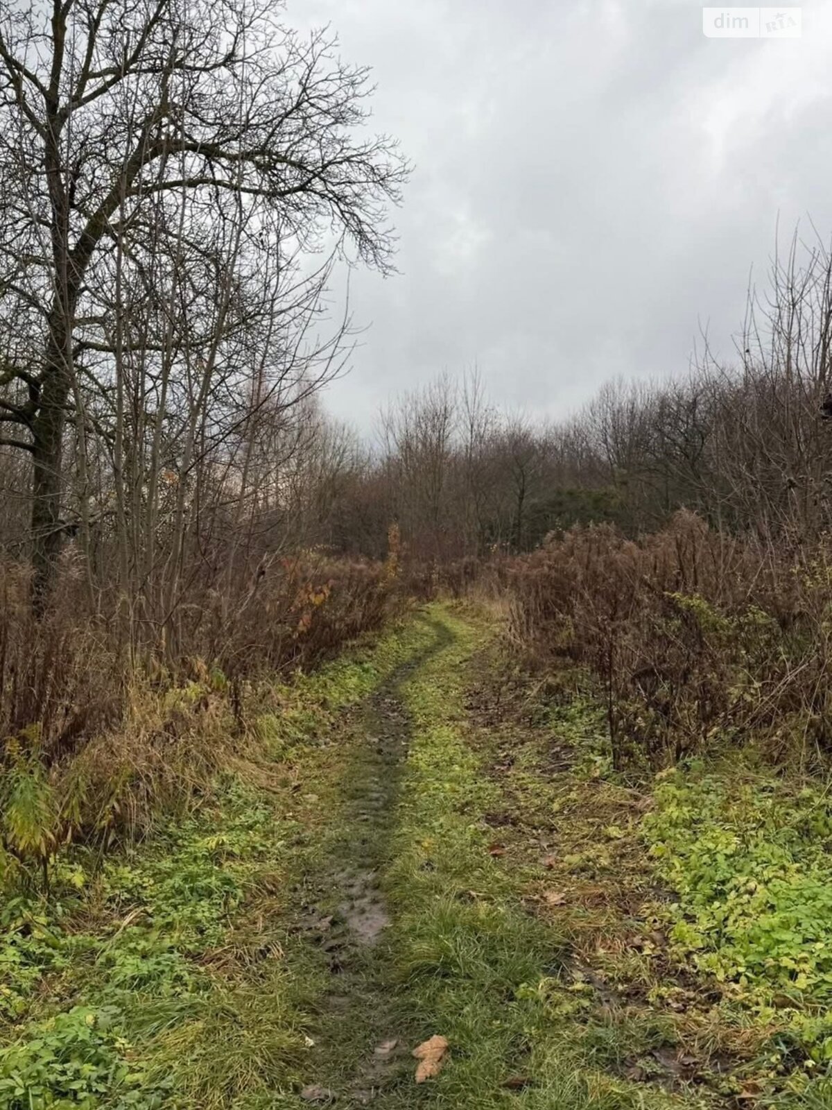 двоповерховий будинок з гаражем, 160 кв. м, газобетон. Продаж у Бонівці фото 1