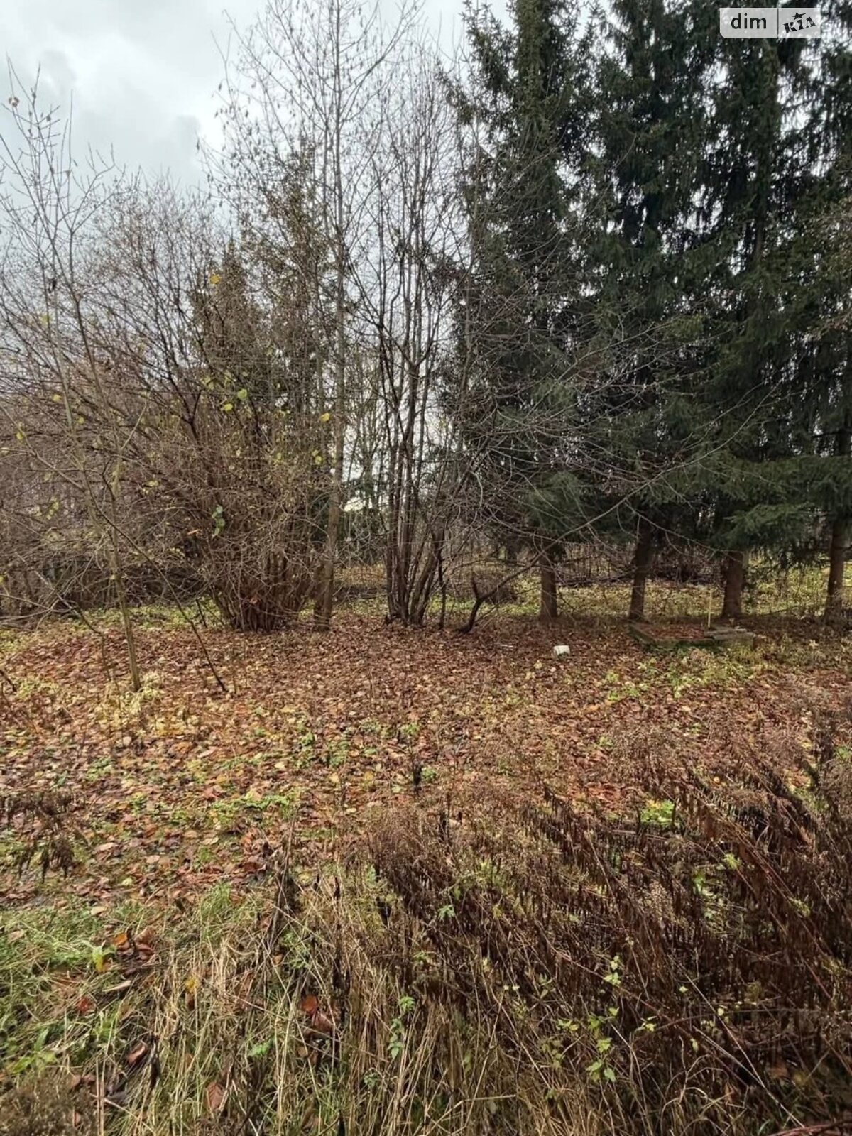 двоповерховий будинок з гаражем, 160 кв. м, газобетон. Продаж у Бонівці фото 1