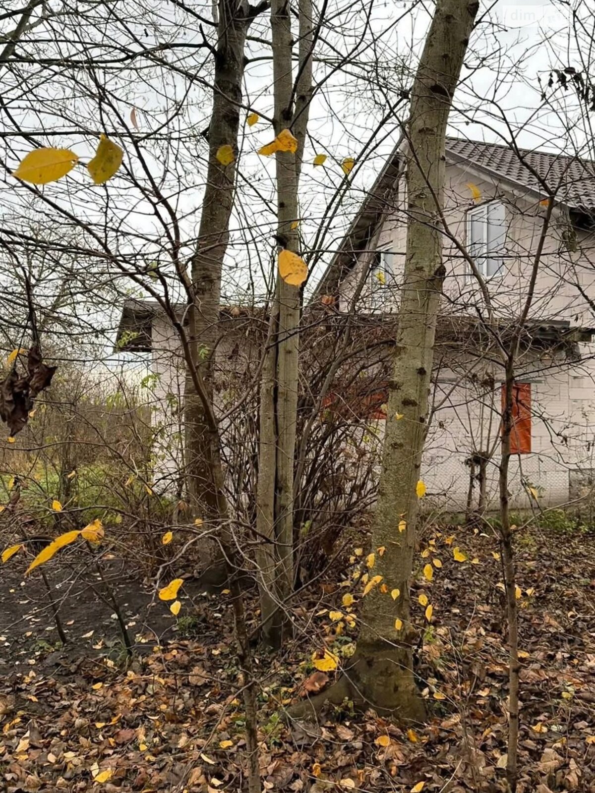 двоповерховий будинок з гаражем, 160 кв. м, газобетон. Продаж у Бонівці фото 1