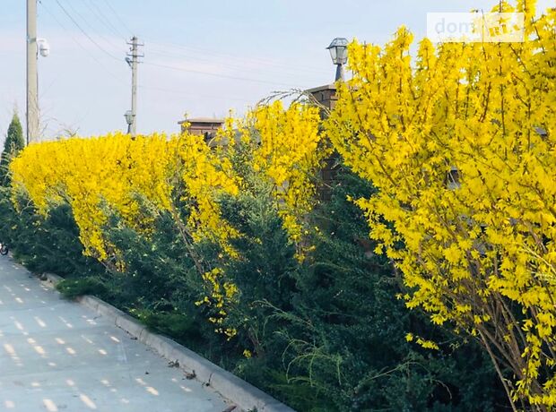 двоповерховий будинок з каміном, 260 кв. м, керамічний блок. Продаж в Безуглівці (Київська обл.) фото 1 двоповерховий будинок з каміном, 260 кв. м, керамічний блок. Продаж в Безуглівці (Київська обл.) фото 1
