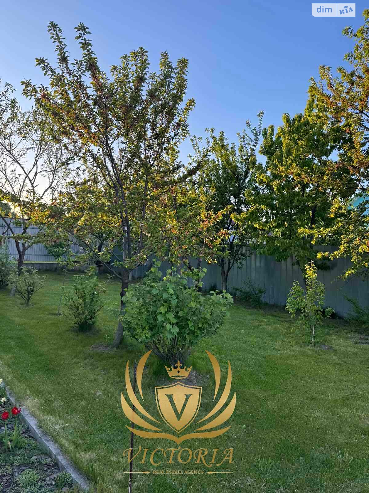 двоповерховий будинок з ремонтом, 136 кв. м, цегла. Продаж в Борисполі, район Бориспіль фото 1 двоповерховий будинок з ремонтом, 136 кв. м, цегла. Продаж в Борисполі, район Бориспіль фото 1