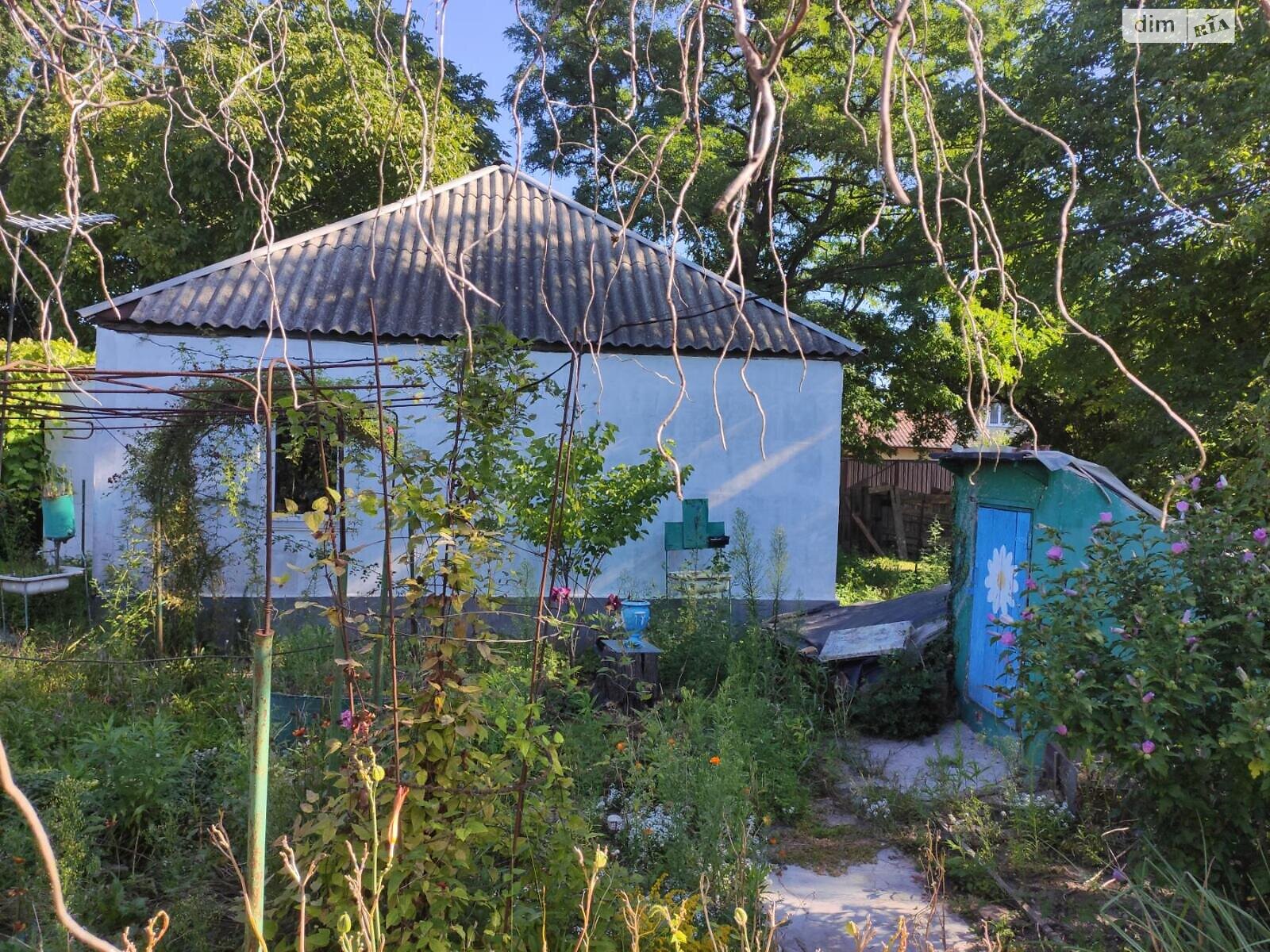 одноэтажный дом с верандой, 53.1 кв. м, дерево и кирпич. Продажа в Борисполе район Борисполь фото 1 одноэтажный дом с верандой, 53.1 кв. м, дерево и кирпич. Продажа в Борисполе район Борисполь фото 1