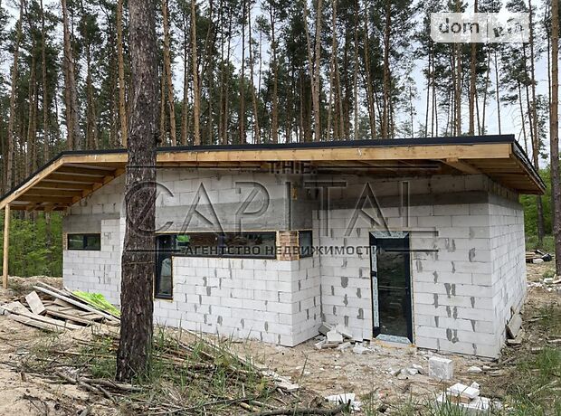 одноэтажный дом, 120 кв. м, кирпич. Продажа в Гнедине (Киевская обл.) фото 1 одноэтажный дом, 120 кв. м, кирпич. Продажа в Гнедине (Киевская обл.) фото 1