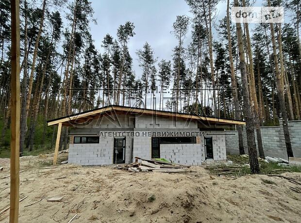 одноэтажный дом, 120 кв. м, кирпич. Продажа в Гнедине (Киевская обл.) фото 1 одноэтажный дом, 120 кв. м, кирпич. Продажа в Гнедине (Киевская обл.) фото 1
