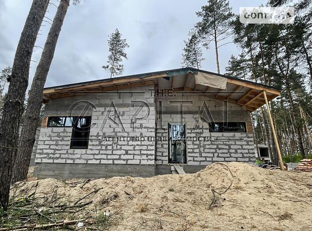 одноэтажный дом, 120 кв. м, кирпич. Продажа в Гнедине (Киевская обл.) фото 1 одноэтажный дом, 120 кв. м, кирпич. Продажа в Гнедине (Киевская обл.) фото 1