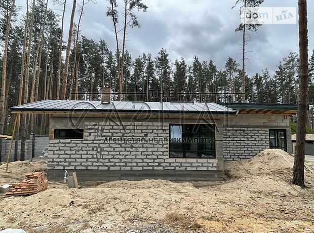 одноэтажный дом, 120 кв. м, кирпич. Продажа в Гнедине (Киевская обл.) фото 1 одноэтажный дом, 120 кв. м, кирпич. Продажа в Гнедине (Киевская обл.) фото 1