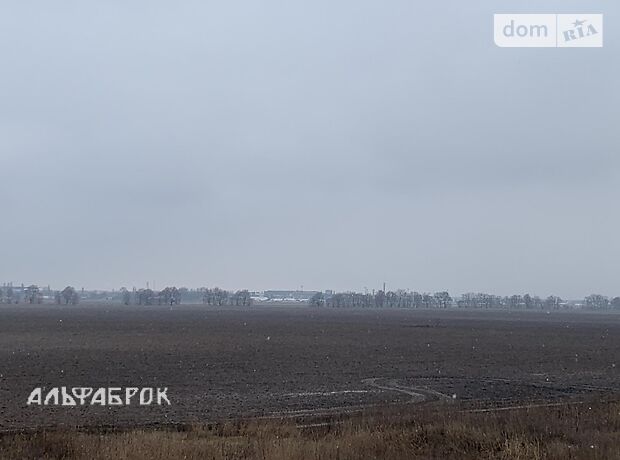 двухэтажный дом, 240 кв. м, кирпич. Продажа в Горе (Киевская обл.) фото 1 двухэтажный дом, 240 кв. м, кирпич. Продажа в Горе (Киевская обл.) фото 1
