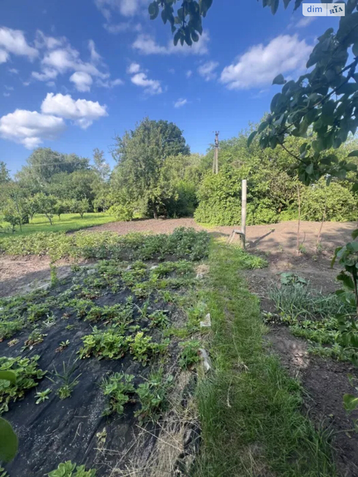 одноэтажный дом с верандой, 75.9 кв. м, кирпич. Продажа в Борисполе фото 1