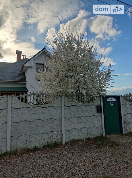 двоповерховий будинок з каміном, 170 кв. м, пінобетон. Продаж в Петропавлівському (Київська обл.) фото 1 двоповерховий будинок з каміном, 170 кв. м, пінобетон. Продаж в Петропавлівському (Київська обл.) фото 1