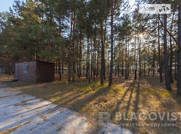 двухэтажный дом с камином, 400 кв. м, кирпич. Продажа в Процеве (Киевская обл.) фото 1 двухэтажный дом с камином, 400 кв. м, кирпич. Продажа в Процеве (Киевская обл.) фото 1