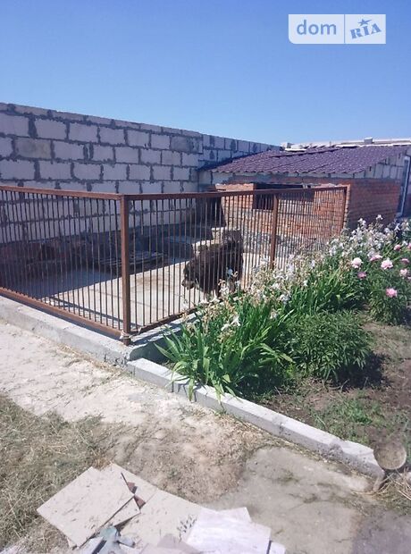 двухэтажный дом с камином, 250 кв. м, пеноблок. Продажа в Ревном (Киевская обл.) фото 1 двухэтажный дом с камином, 250 кв. м, пеноблок. Продажа в Ревном (Киевская обл.) фото 1