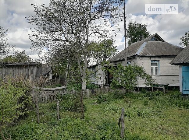 одноэтажный дом с садом, 76 кв. м, кирпич. Продажа в Старом (Киевская обл.) фото 1 одноэтажный дом с садом, 76 кв. м, кирпич. Продажа в Старом (Киевская обл.) фото 1