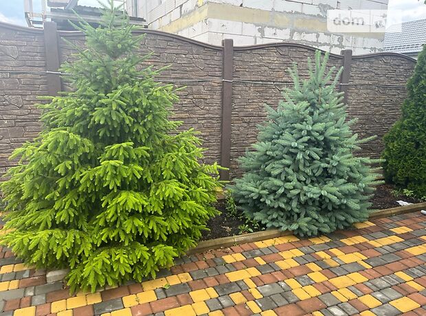 одноэтажный дом с ремонтом, 88 кв. м, сип панель. Продажа в Великой Александровке (Киевская обл.) фото 1 одноэтажный дом с ремонтом, 88 кв. м, сип панель. Продажа в Великой Александровке (Киевская обл.) фото 1