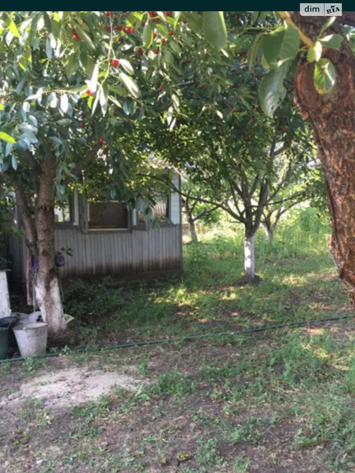 одноэтажный дом с верандой, 55 кв. м, кирпич. Продажа в Борках фото 1 одноэтажный дом с верандой, 55 кв. м, кирпич. Продажа в Борках фото 1