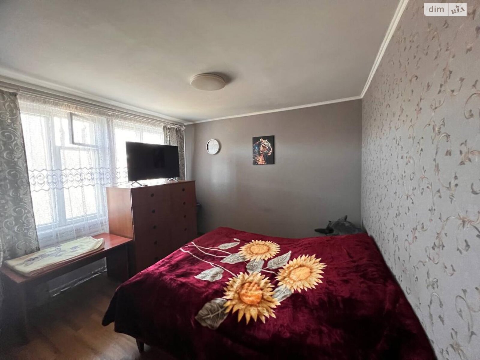 одноповерховий будинок з ремонтом, 132.1 кв. м, цегла. Продаж в Бородянці, район Бородянка фото 1 одноповерховий будинок з ремонтом, 132.1 кв. м, цегла. Продаж в Бородянці, район Бородянка фото 1