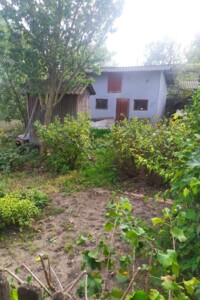 одноповерховий будинок з опаленням, 80 кв. м, сруб. Продаж у Борівці фото 2