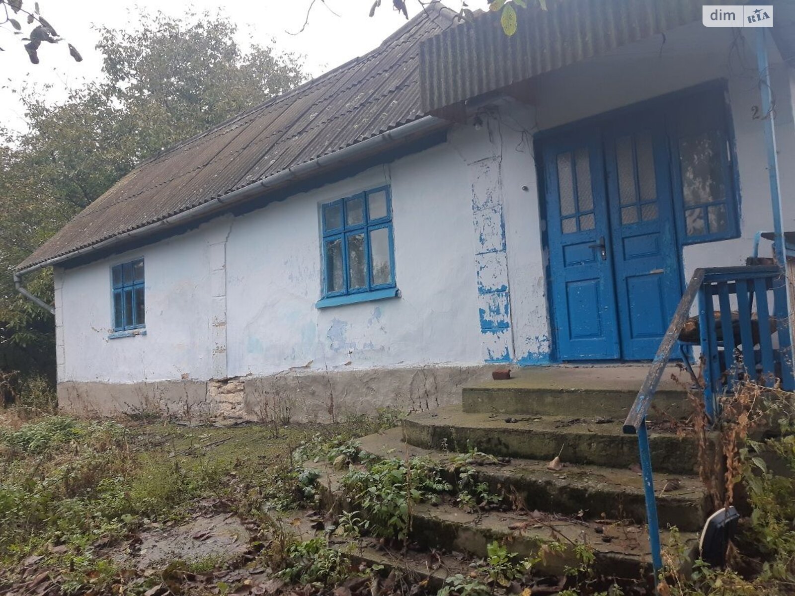 одноэтажный дом, 56 кв. м, сруб. Продажа в Борщеве фото 1 одноэтажный дом, 56 кв. м, сруб. Продажа в Борщеве фото 1