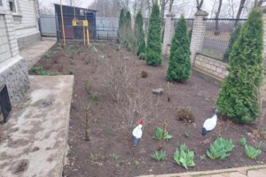 двухэтажный дом с верандой, 240 кв. м, кирпич. Продажа в Борщах фото 2