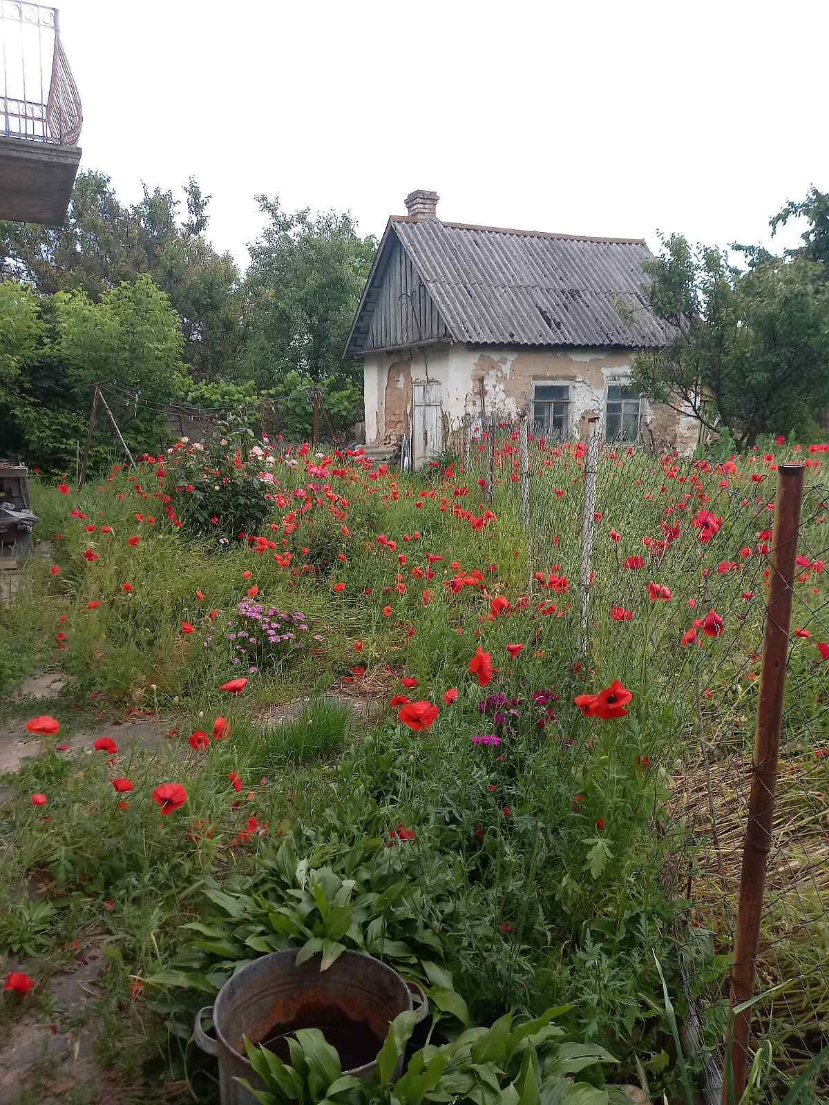 двоповерховий будинок з опаленням, 107.2 кв. м, цегла. Продаж у Боярці фото 1 двоповерховий будинок з опаленням, 107.2 кв. м, цегла. Продаж у Боярці фото 1