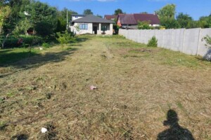 одноповерховий будинок з верандою, 80 кв. м, пеноблок. Продаж у Братському фото 2