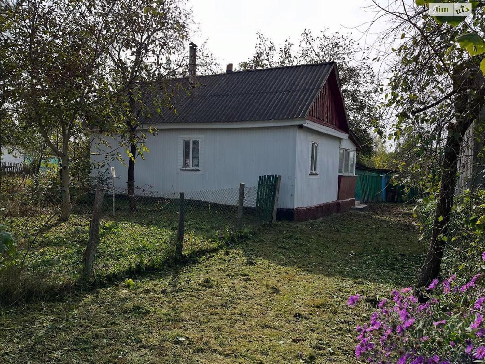 одноповерховий будинок з верандою, 44 кв. м, дерево та цегла. Продаж у Брониках фото 1 одноповерховий будинок з верандою, 44 кв. м, дерево та цегла. Продаж у Брониках фото 1