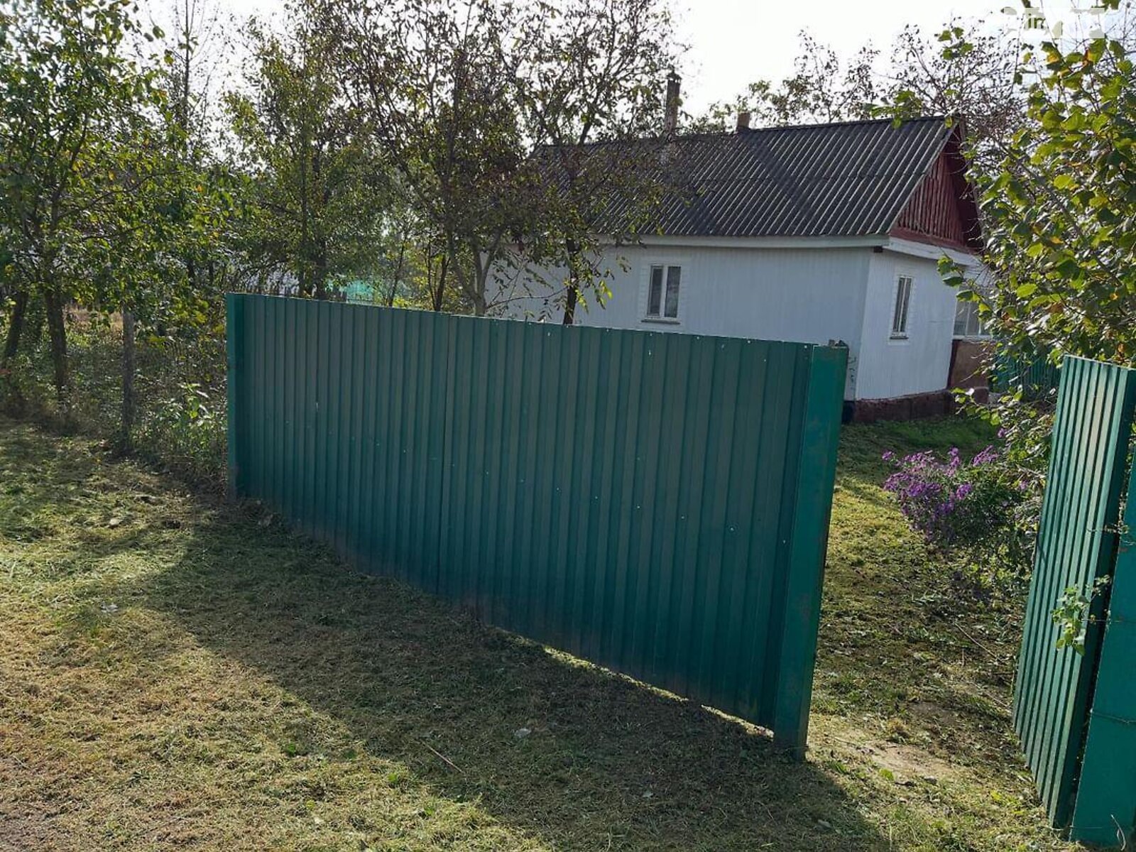 одноповерховий будинок з верандою, 44 кв. м, дерево та цегла. Продаж у Брониках фото 1 одноповерховий будинок з верандою, 44 кв. м, дерево та цегла. Продаж у Брониках фото 1