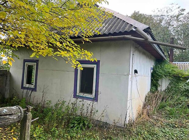 одноэтажный дом без мебели, 44.7 кв. м, кирпич. Продажа в Богдановке (Киевская обл.) фото 1 одноэтажный дом без мебели, 44.7 кв. м, кирпич. Продажа в Богдановке (Киевская обл.) фото 1