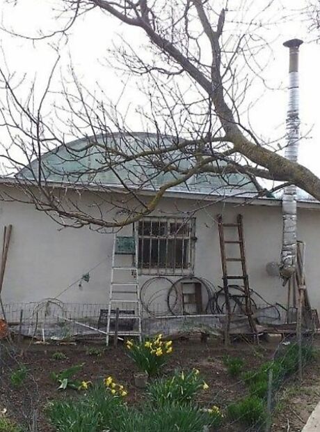 одноповерховий будинок з садом, 75 кв. м, цегла. Продаж в Великій Димерці (Київська обл.) фото 1 одноповерховий будинок з садом, 75 кв. м, цегла. Продаж в Великій Димерці (Київська обл.) фото 1